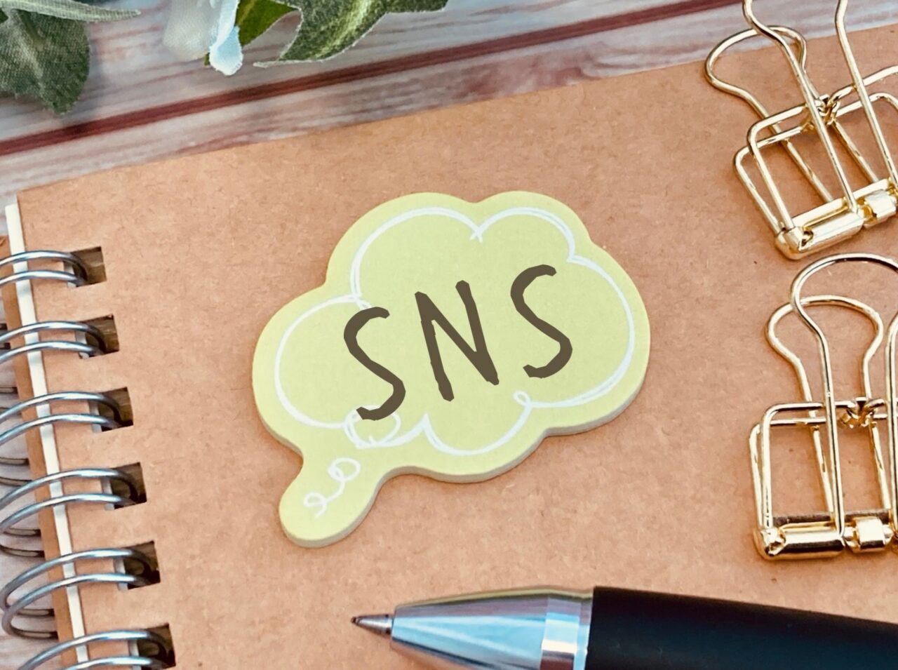 ＳＮＳ利用率の統計から見えること