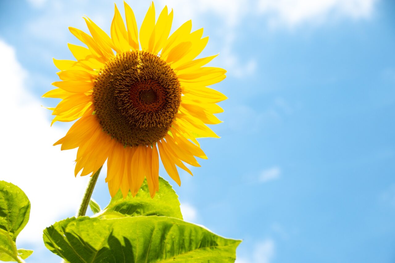 教職員組合のよさを広めるために