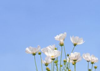 発信することの大切さを確かめるひと月