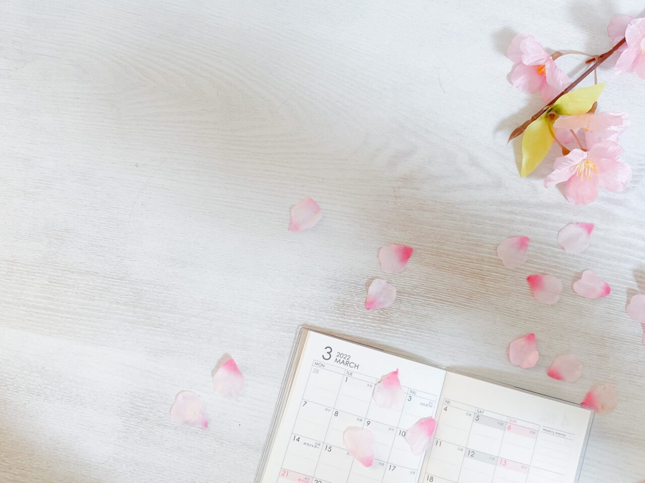 ３月の、そしてこれまでのまとめ「教職員組合が光り輝く未来を夢見て…」