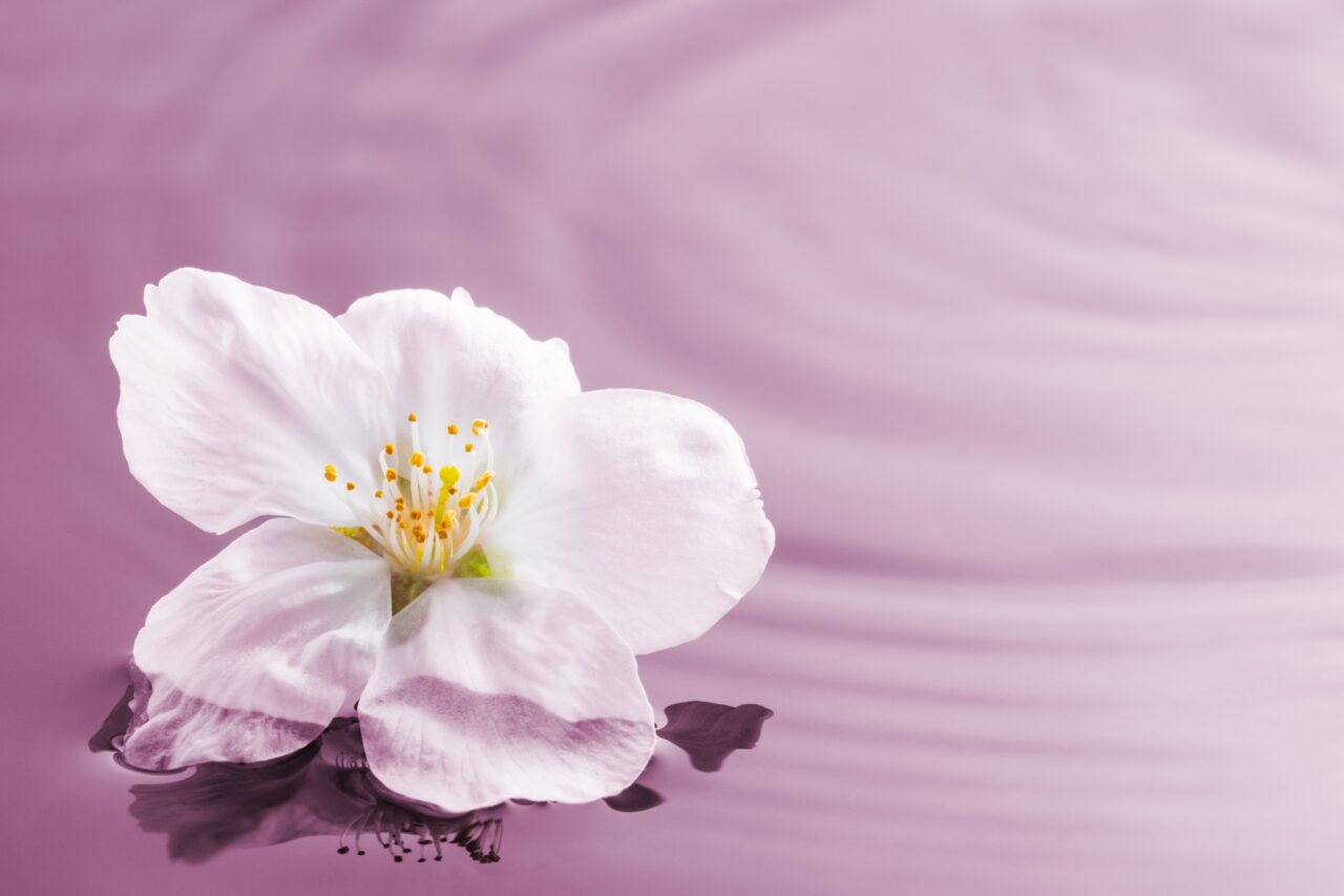 少しずつ少しずつ広がる新しい波を感じて