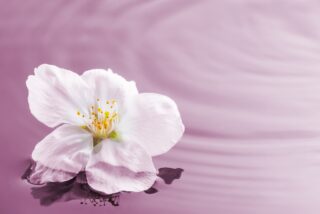 少しずつ少しずつ広がる新しい波を感じて